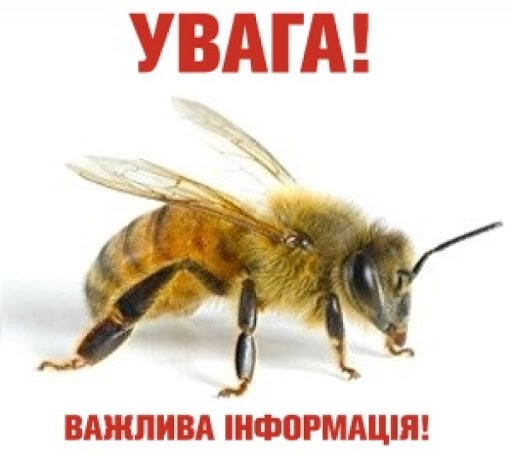 Оголошення